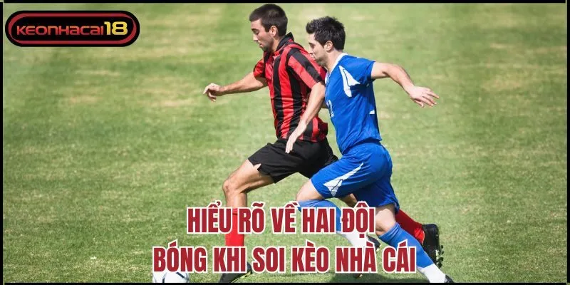 Hiểu rõ về hai đội bóng khi soi kèo nhà cái